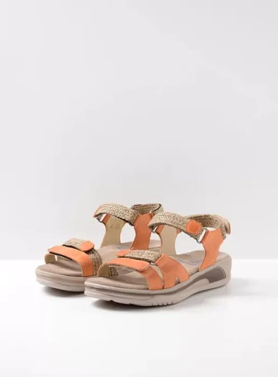 DAMES Wolky Voorjaar/zomer|Acula