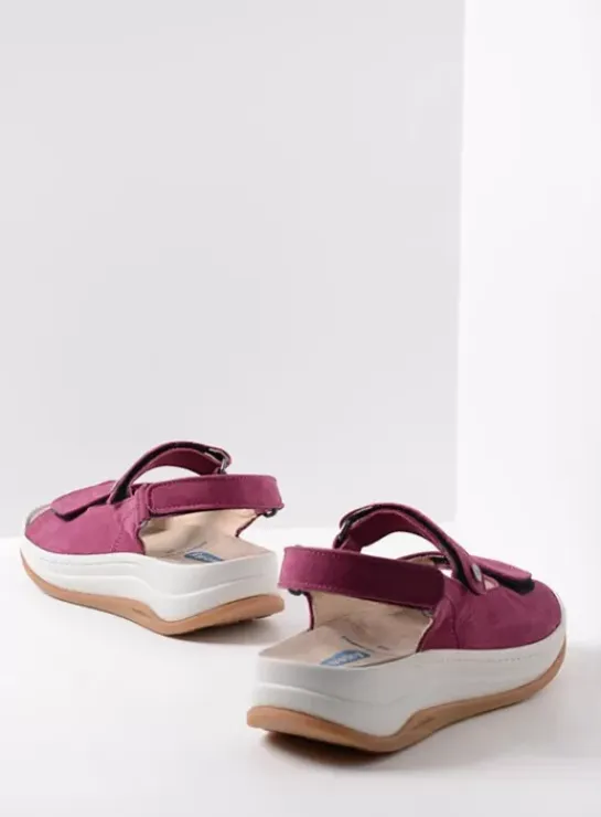 DAMES Wolky Sandalen|Voorjaar/zomer|Adura