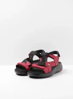DAMES Wolky Sandalen|Voorjaar/zomer|Cirro