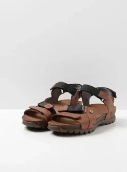 DAMES Wolky Sandalen|Voorjaar/zomer|Cradle