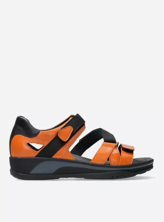 DAMES Wolky Sandalen|Voorjaar/zomer|Desh