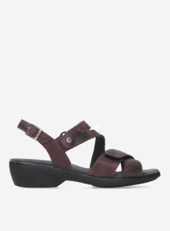 DAMES Wolky Sandalen|Fria