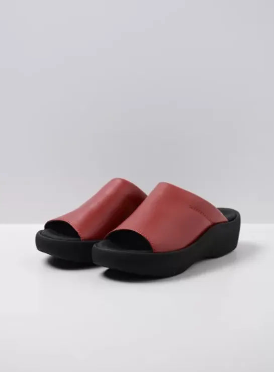 DAMES Wolky Slippers|Nassau