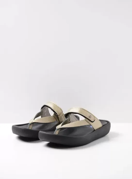 DAMES Wolky Slippers|Voorjaar/zomer|Peace
