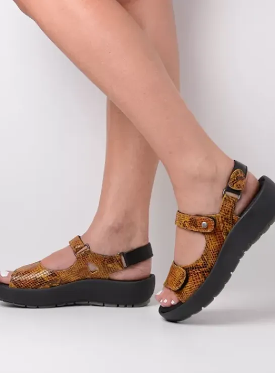 DAMES Wolky Sandalen|Rio