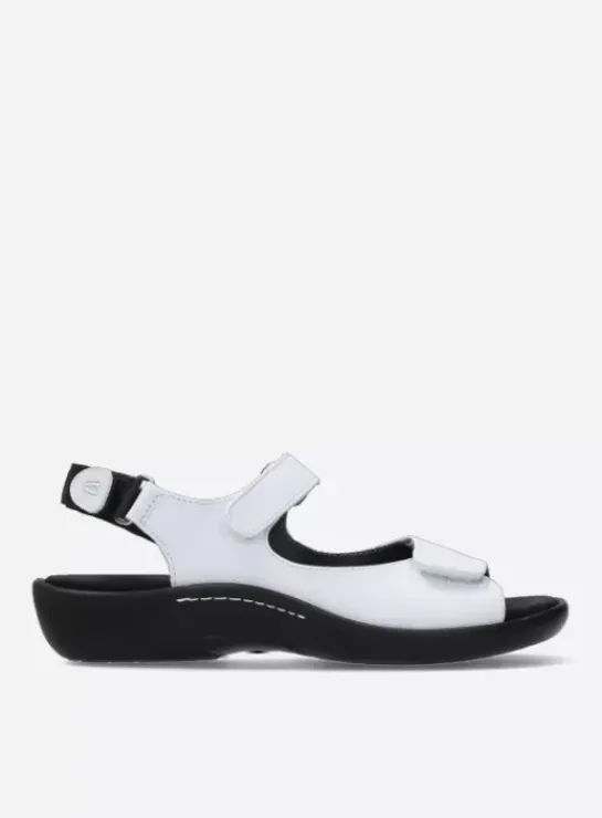 DAMES Wolky Sandalen|Voorjaar/zomer|Salvia