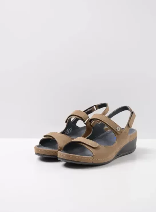 DAMES Wolky Sandalen|Shallow